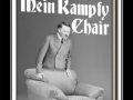 Fetch.. THE KAMPFY CHAIR!
