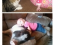 Kids and Animals