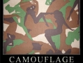 Camouflage