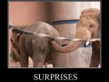 Surprises