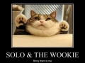 Solo and the Wookie