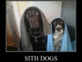 Sith dogs