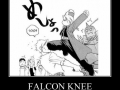 Falcon knee