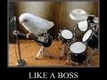 The Bird Brains