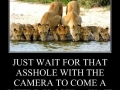 Wait for it!