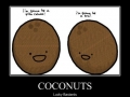 Coconuts