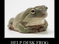 Help desk frog
