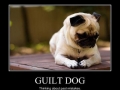 Guilt dog