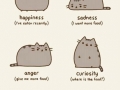 Emotions of a cat