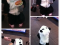 Cutest Thing Ever