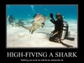 High-fiving a shark