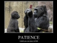 Patience