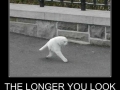 The longer you look..