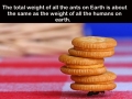 Facts you didn't know