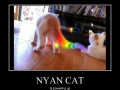 Nyan cat