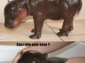 6 day old hippo