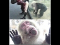 Evolution