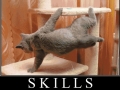 Skills
