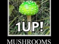 1UP!