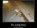 How did he get there!