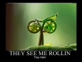 They see me rollin'