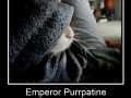 Emperor Purrpatine