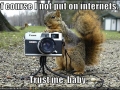 Cheeky Squirrel
