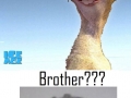 Brother?? Brotha!!