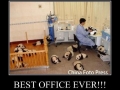 Suddenly pandas!