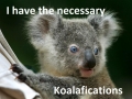 Koala story, bro