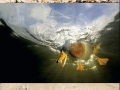 Epic pics