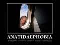 Anatidaephobia