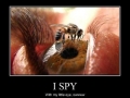 My eye hurts just looking!