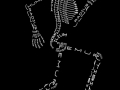 Anatomy Bones