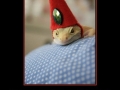 Gervaise, the Lizard Wizard