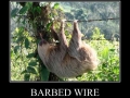 Epic win!