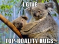 Right Koala