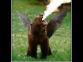 Come at me bro!