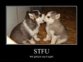 SILENCE! I bite you!