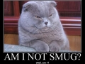 Am I not?