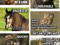 All the animal puns!