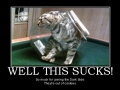 Dumb cat is dumb