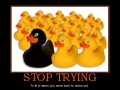 Stop trying..
