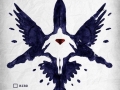 What do you see here?