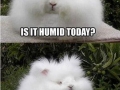 Humid, isn't it?