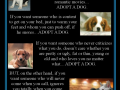 Cats & Dogs