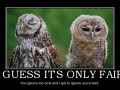 Not talking to you!