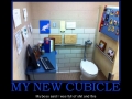 My new office