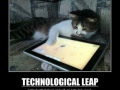 Like a boss