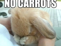 No carrots?